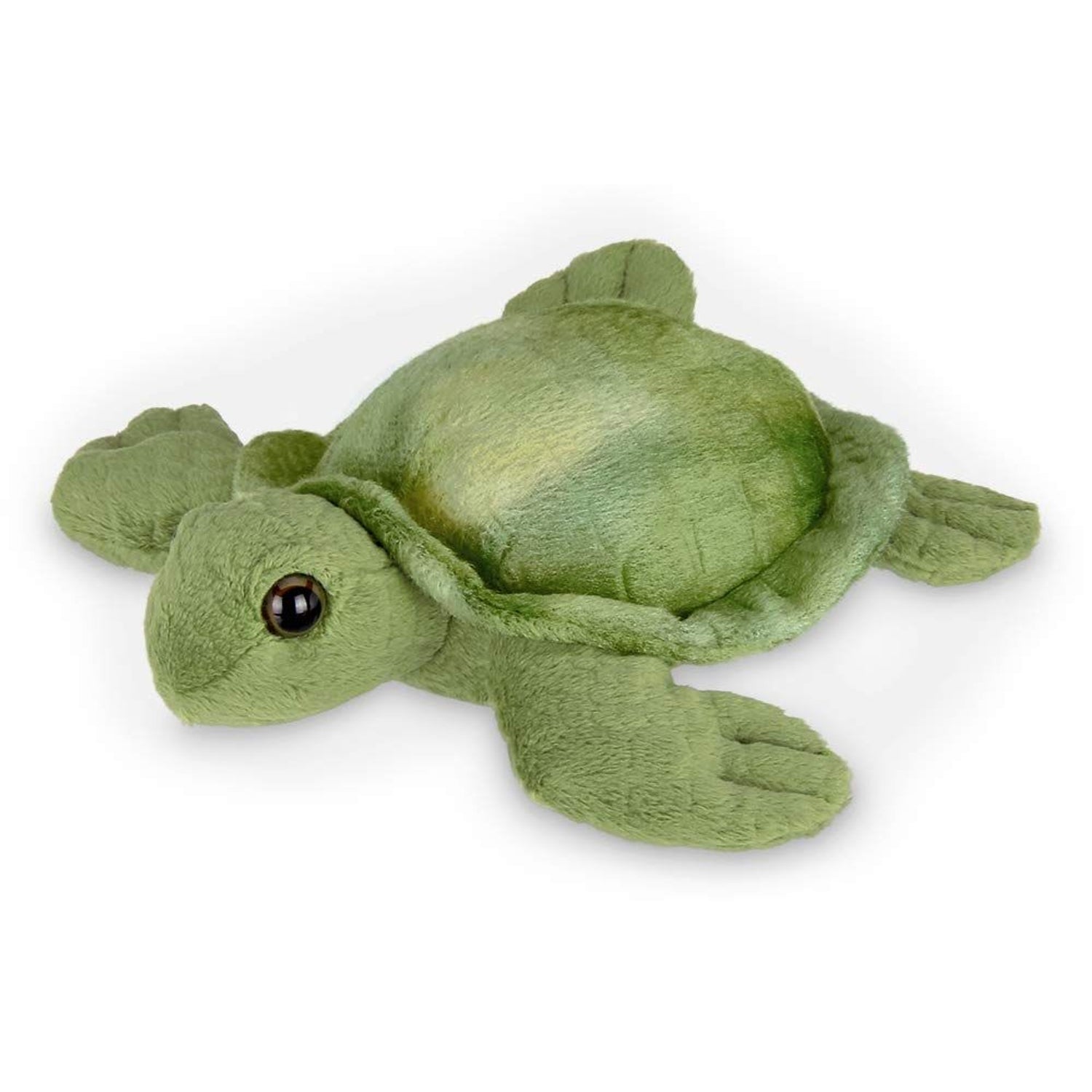 7" Sea Turtle Lil' Shelton