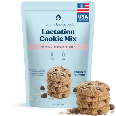 Lactation Cookie Mix - Gluten/Dairy Free - Chocolate Chip - 16oz