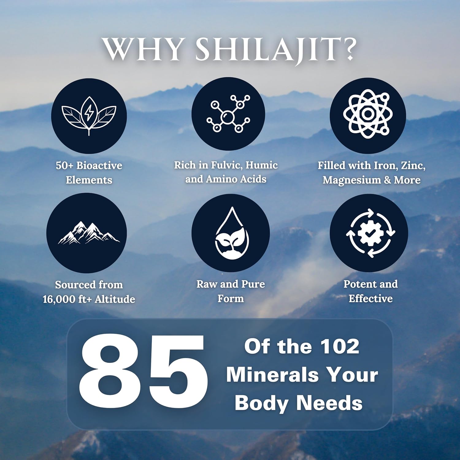 Pure Shilajit Resin Dry Drops - High Potency, Grade A, 100% Pure & Natural with Fulvic Acid & 85+ Trace Minerals