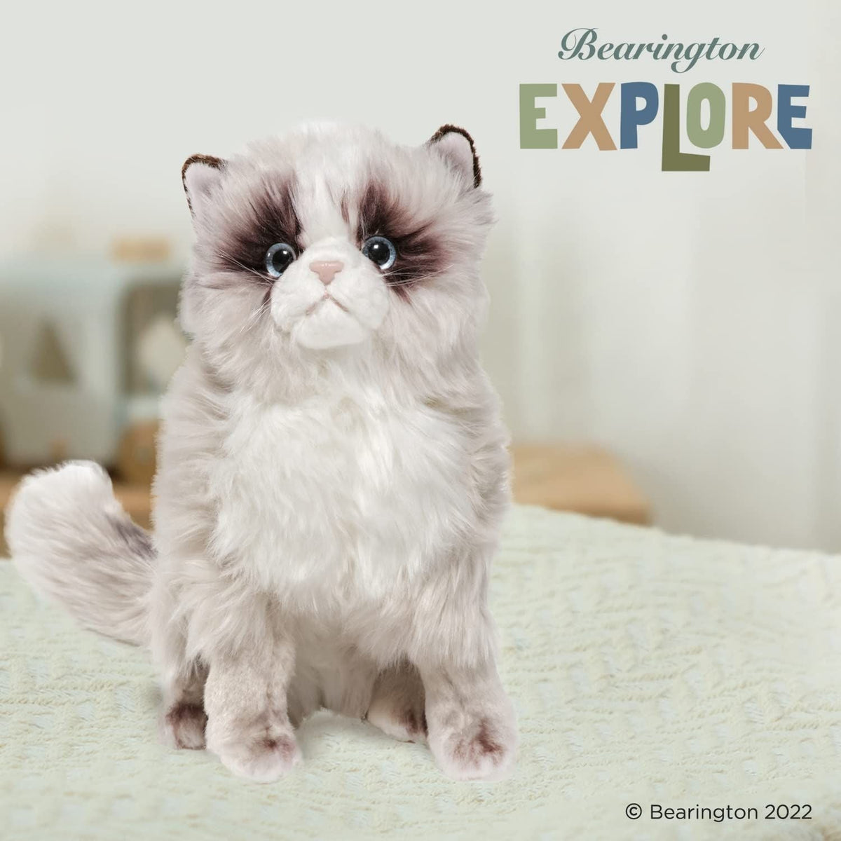 10.5" Himalayan Cat Tasha