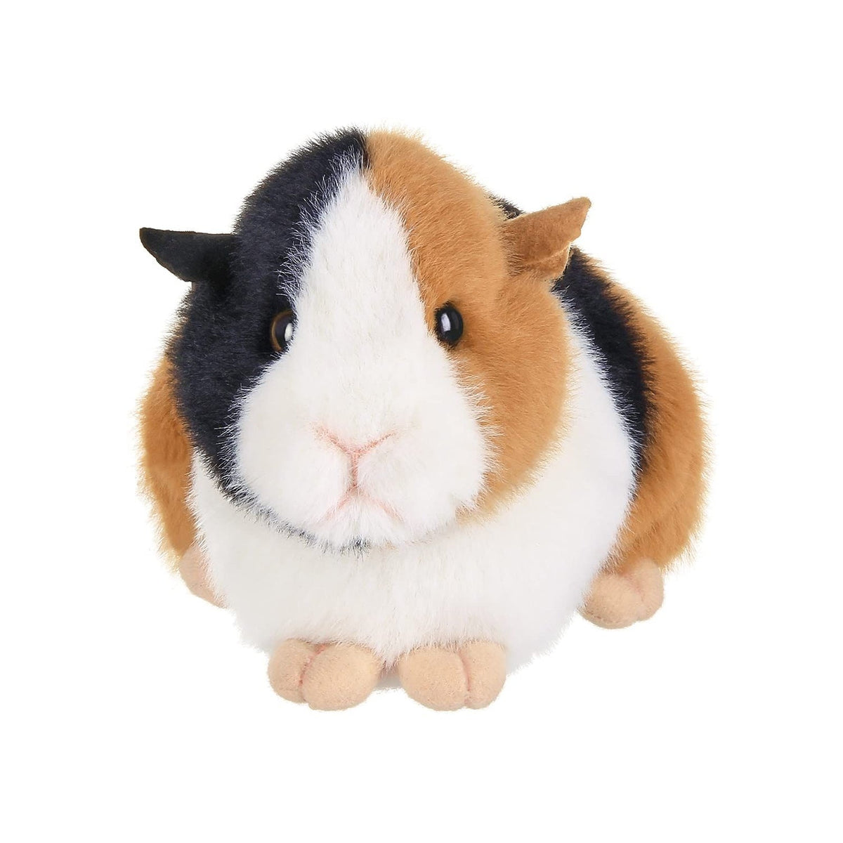 8" Guinea Pig Scooter