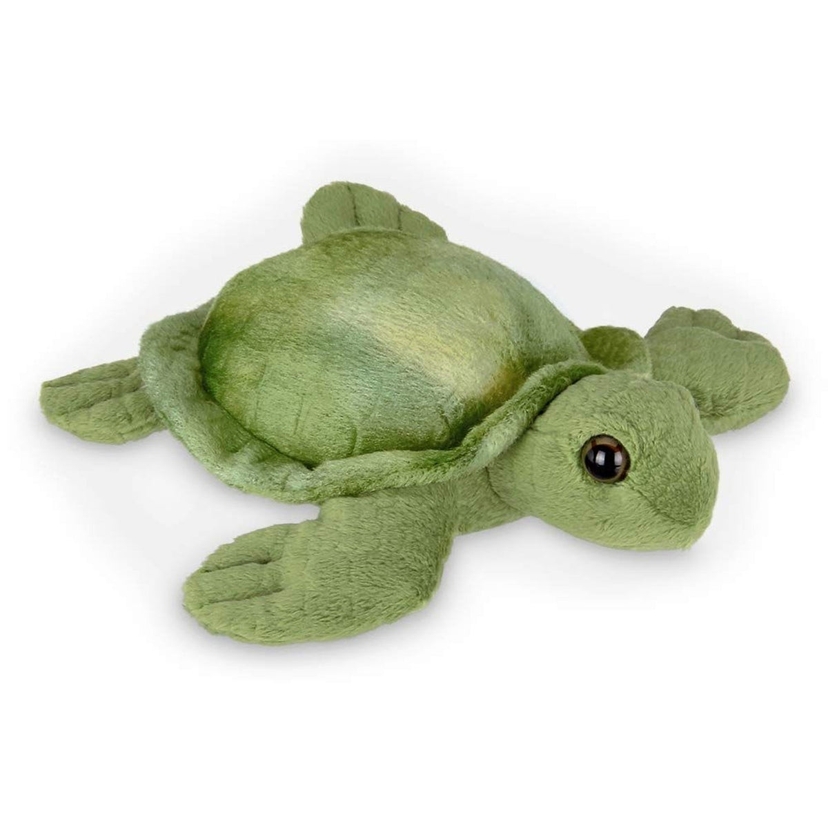 7" Sea Turtle Lil' Shelton