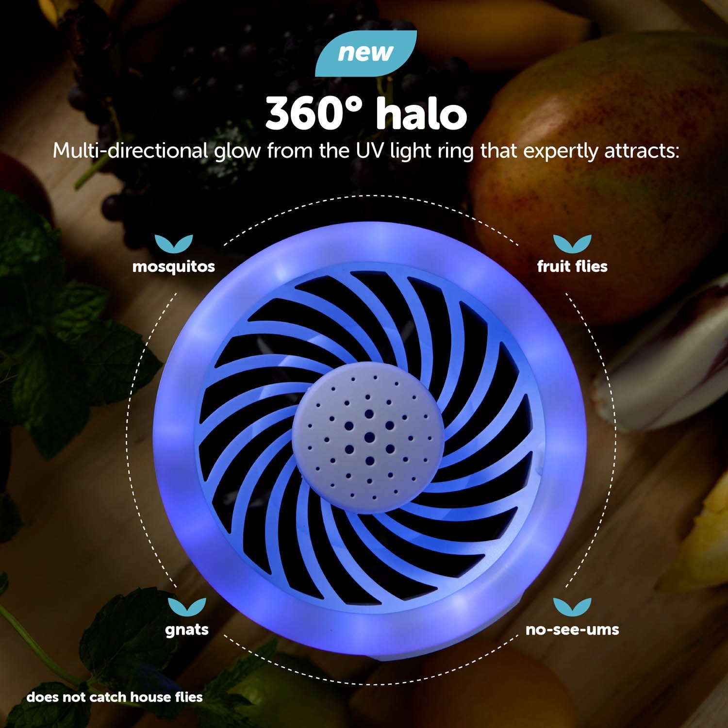 Katchy Duo: 2-in-1 Automatic Indoor Insect Trap