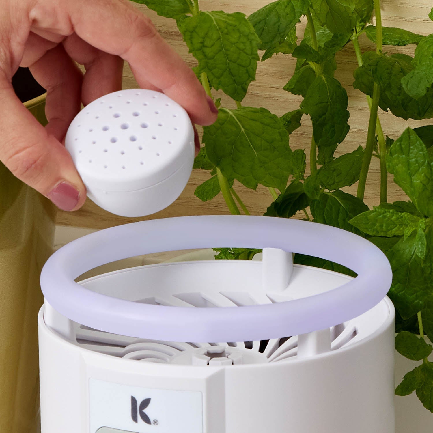 Katchy Duo: 2-in-1 Automatic Indoor Insect Trap