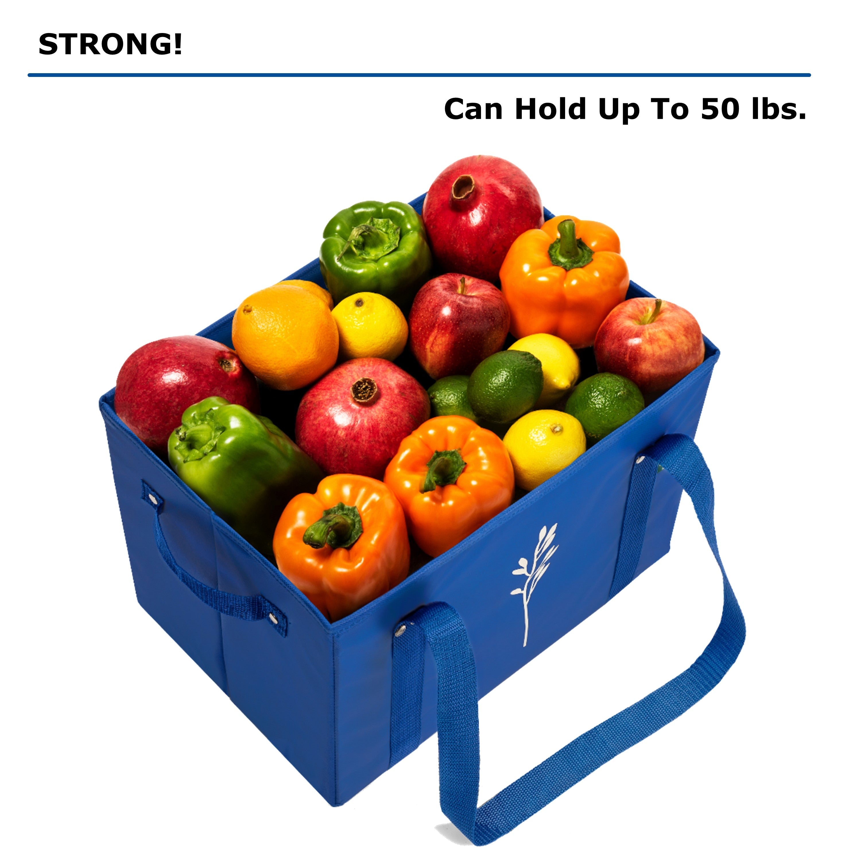 Blue Reusable Grocery Box Bags (Set of 3)
