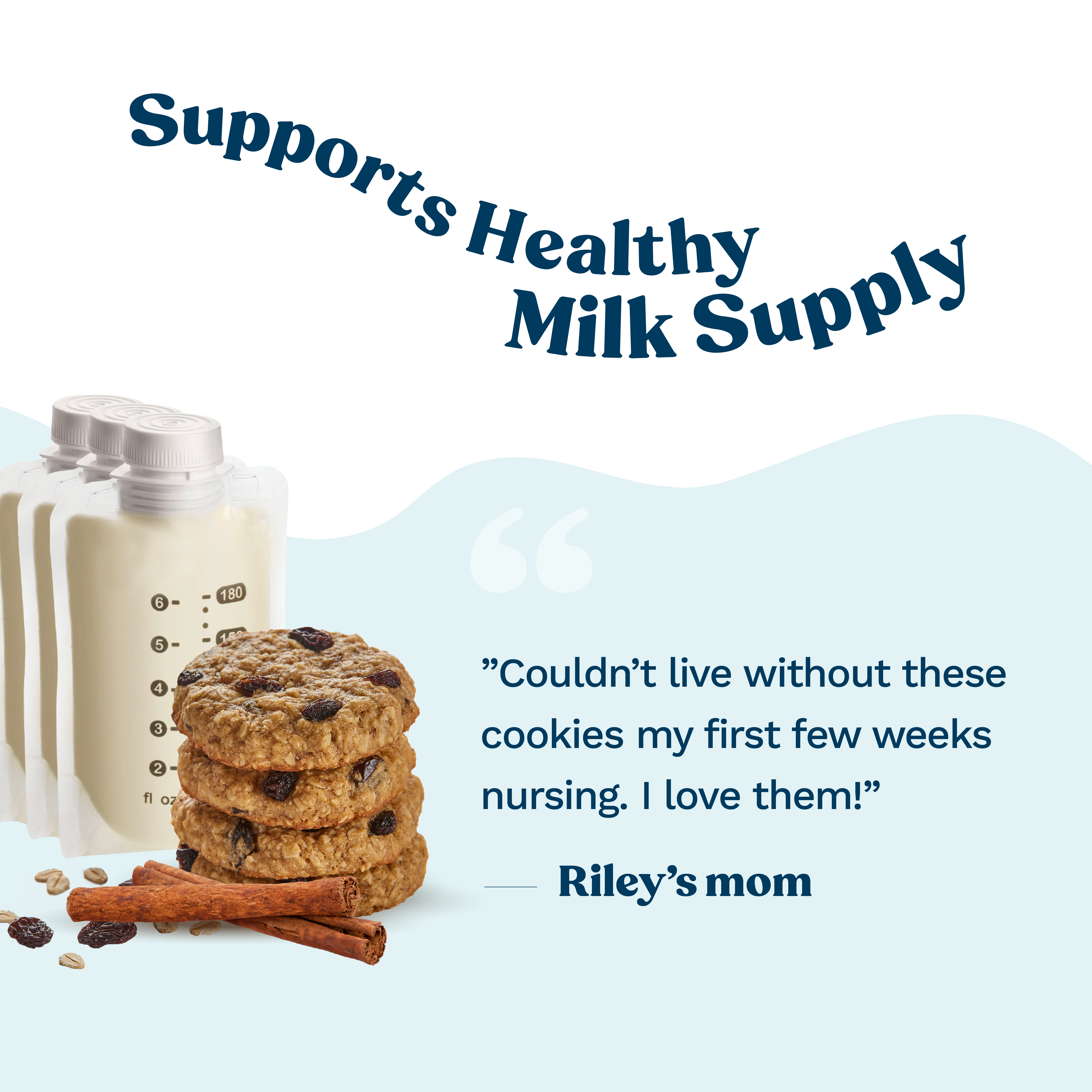 Lactation Cookie Mix - Cinnamon Raisin - 16oz