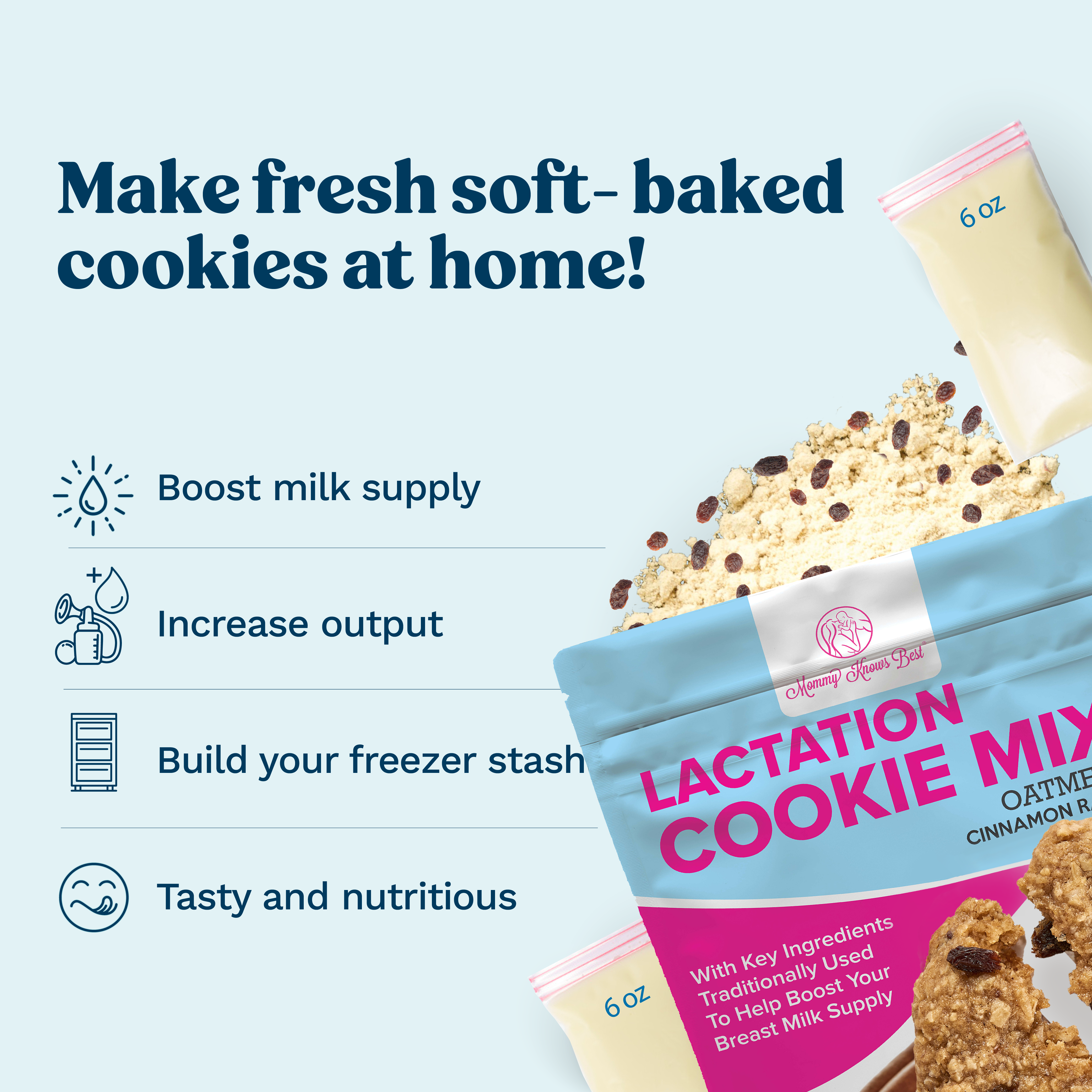 Lactation Cookie Mix - Cinnamon Raisin - 16oz