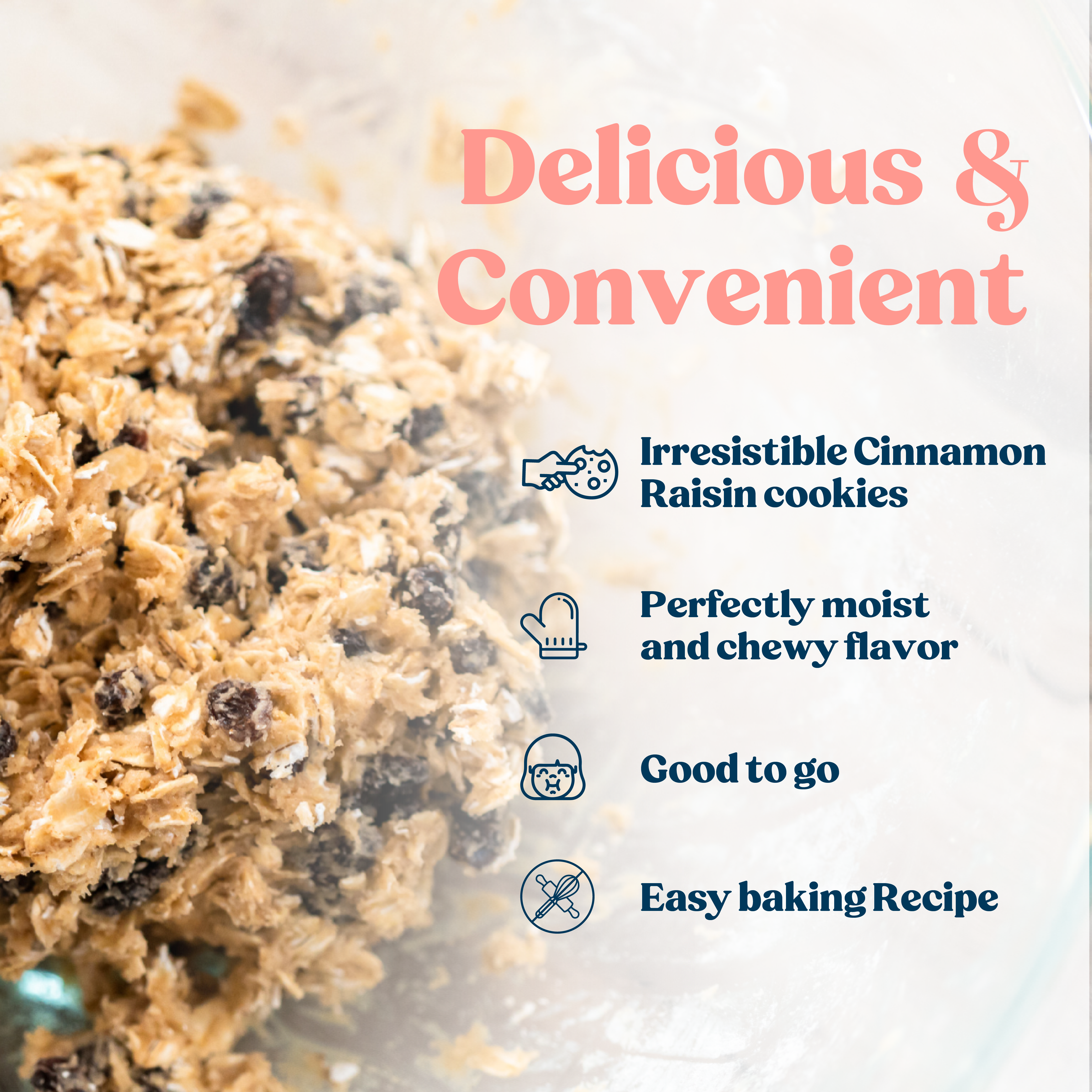 Lactation Cookie Mix - Cinnamon Raisin - 16oz