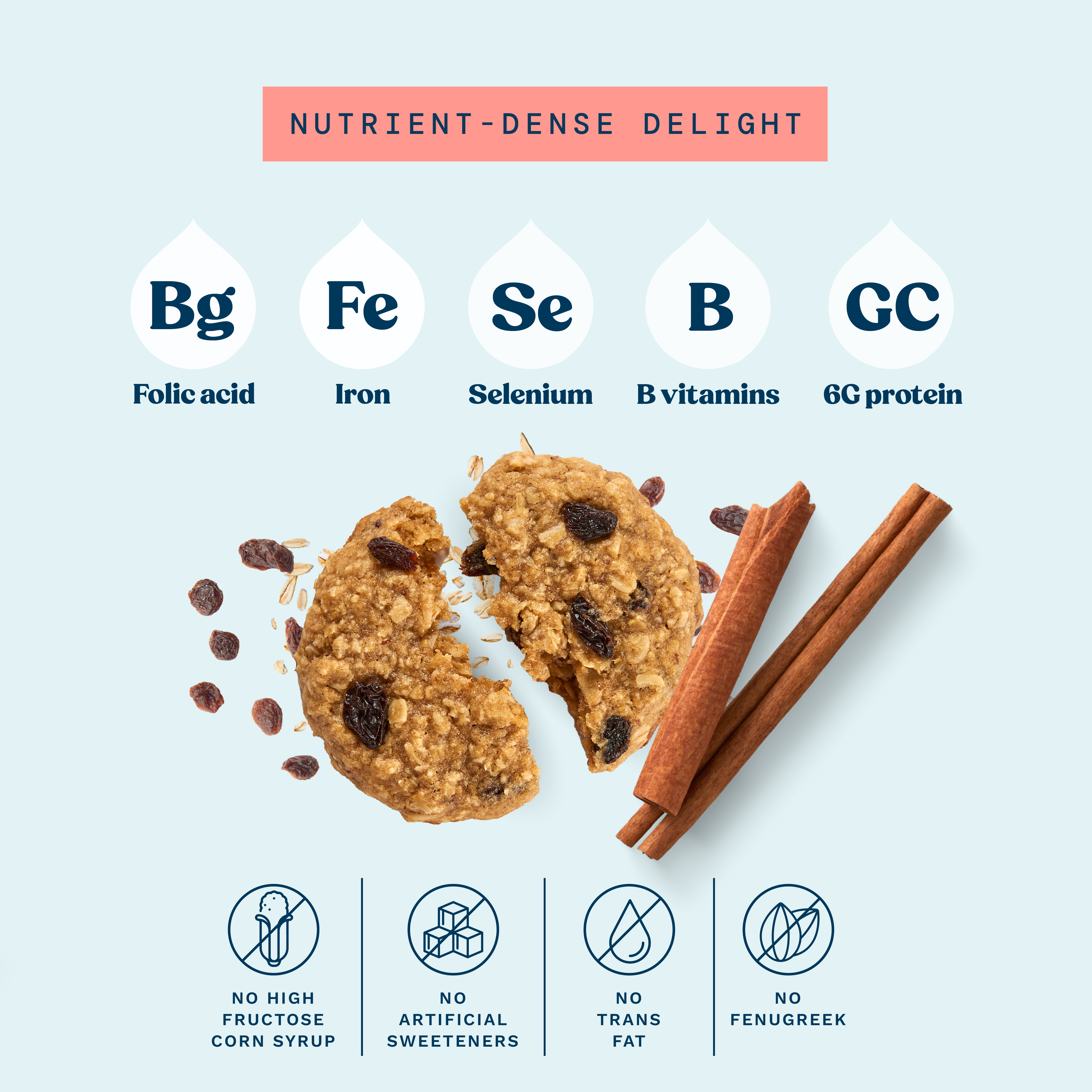 Lactation Cookie Mix - Cinnamon Raisin - 16oz