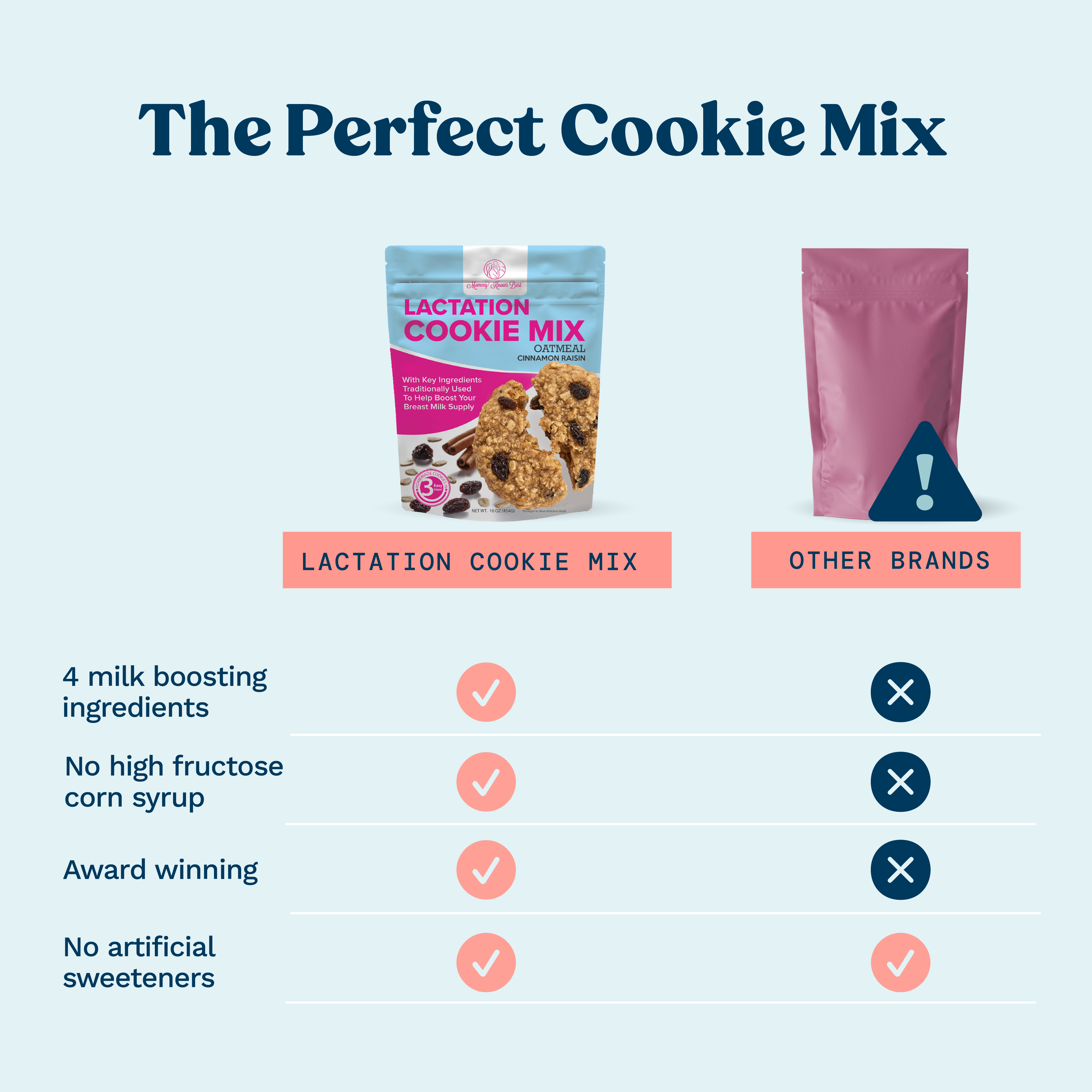 Lactation Cookie Mix - Cinnamon Raisin - 16oz