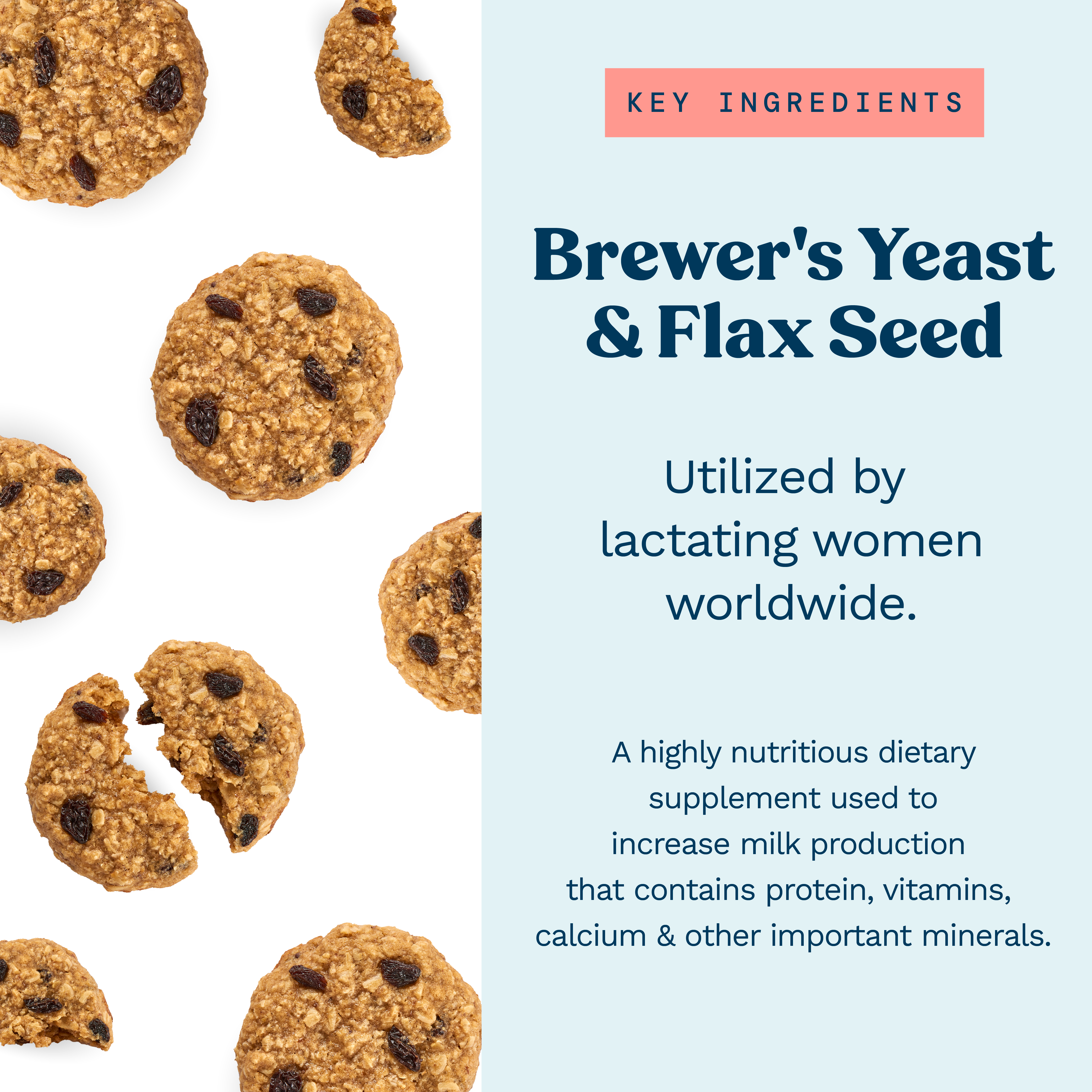 Lactation Cookie Mix - Cinnamon Raisin - 16oz