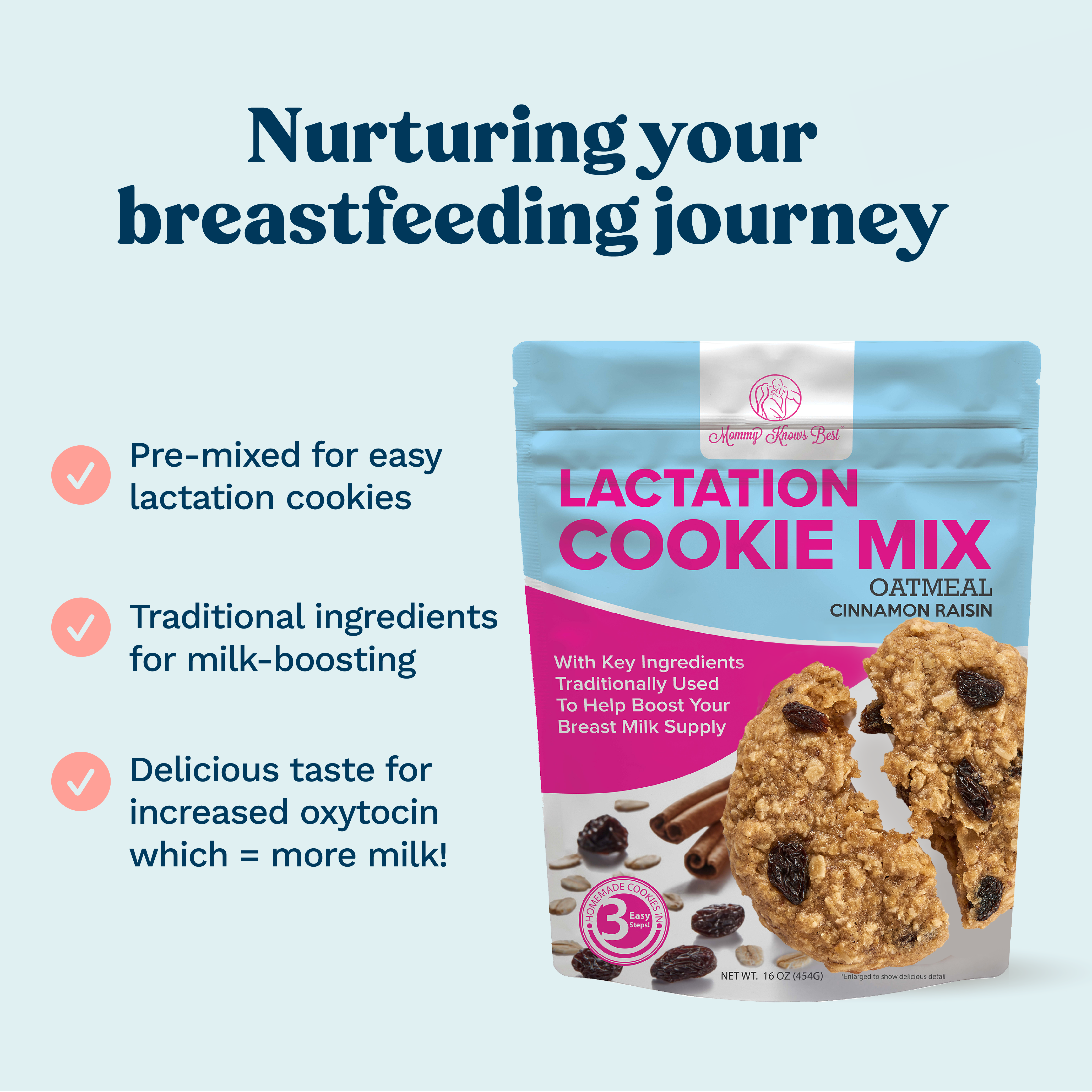 Lactation Cookie Mix - Cinnamon Raisin - 16oz