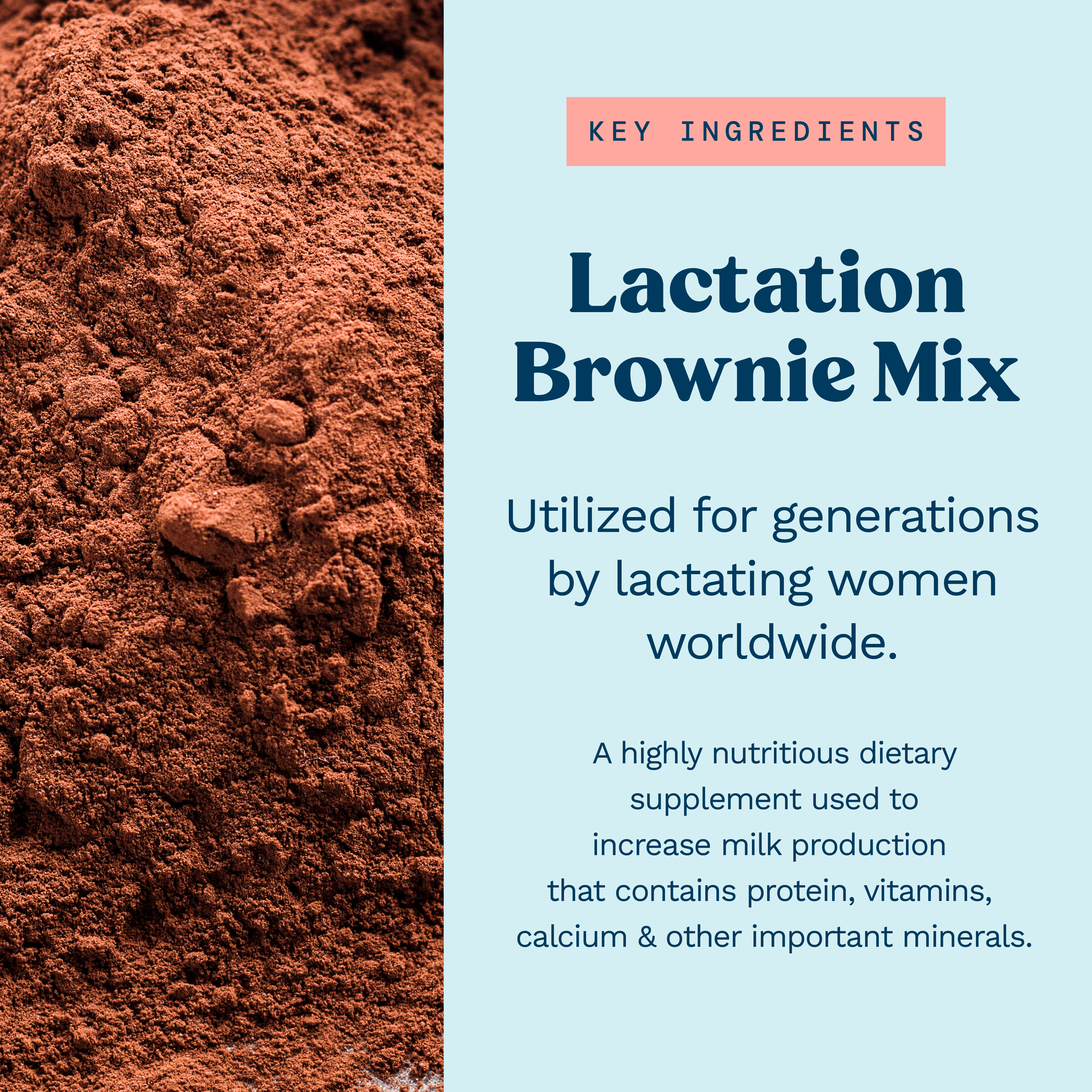 Lactation Brownie Mix - Double Chocolate Brownie - 24 oz