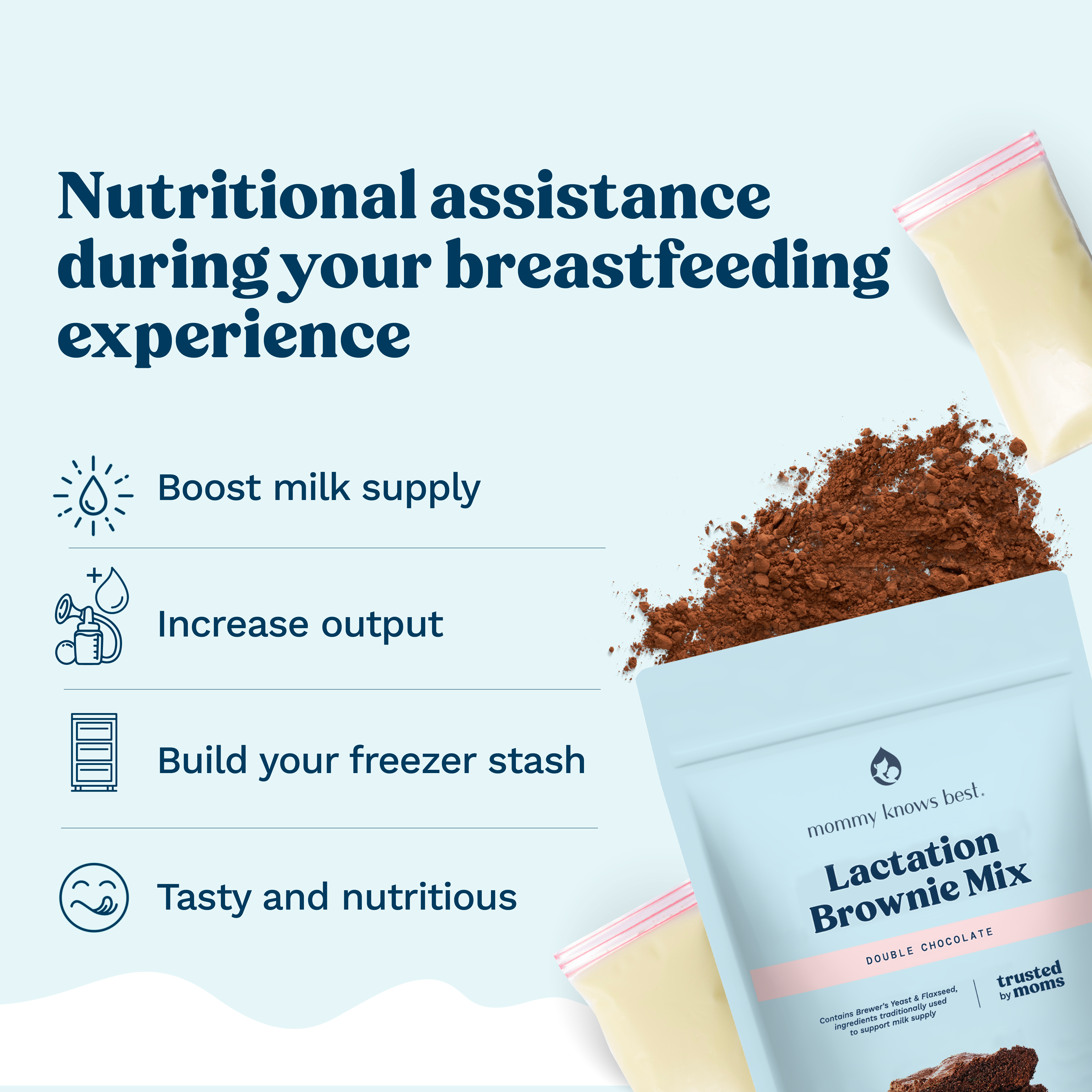Lactation Brownie Mix - Double Chocolate Brownie - 24 oz