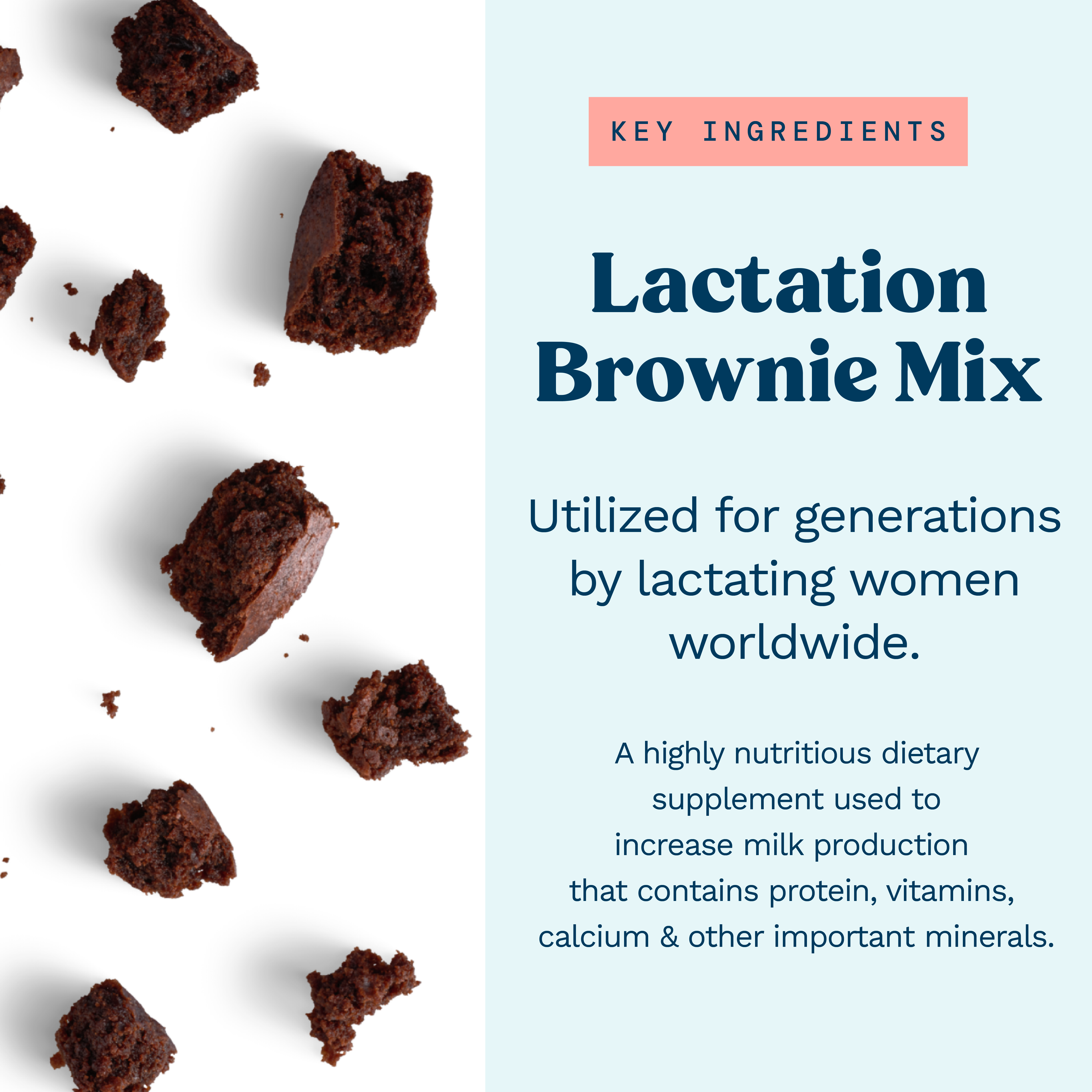 Lactation Brownie Mix - Double Chocolate Brownie - 24 oz