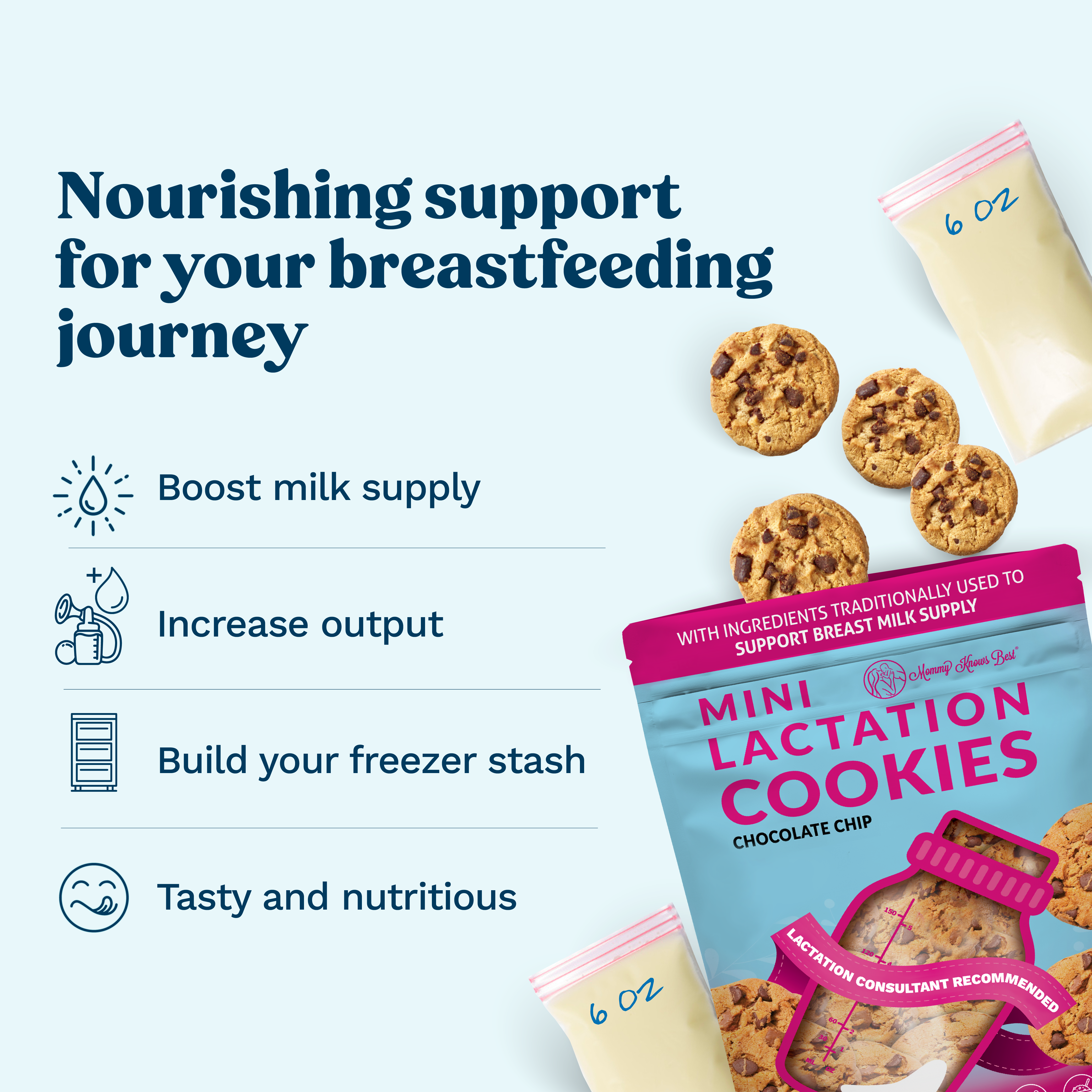 Mini Lactation Cookies - Chocolate Chip