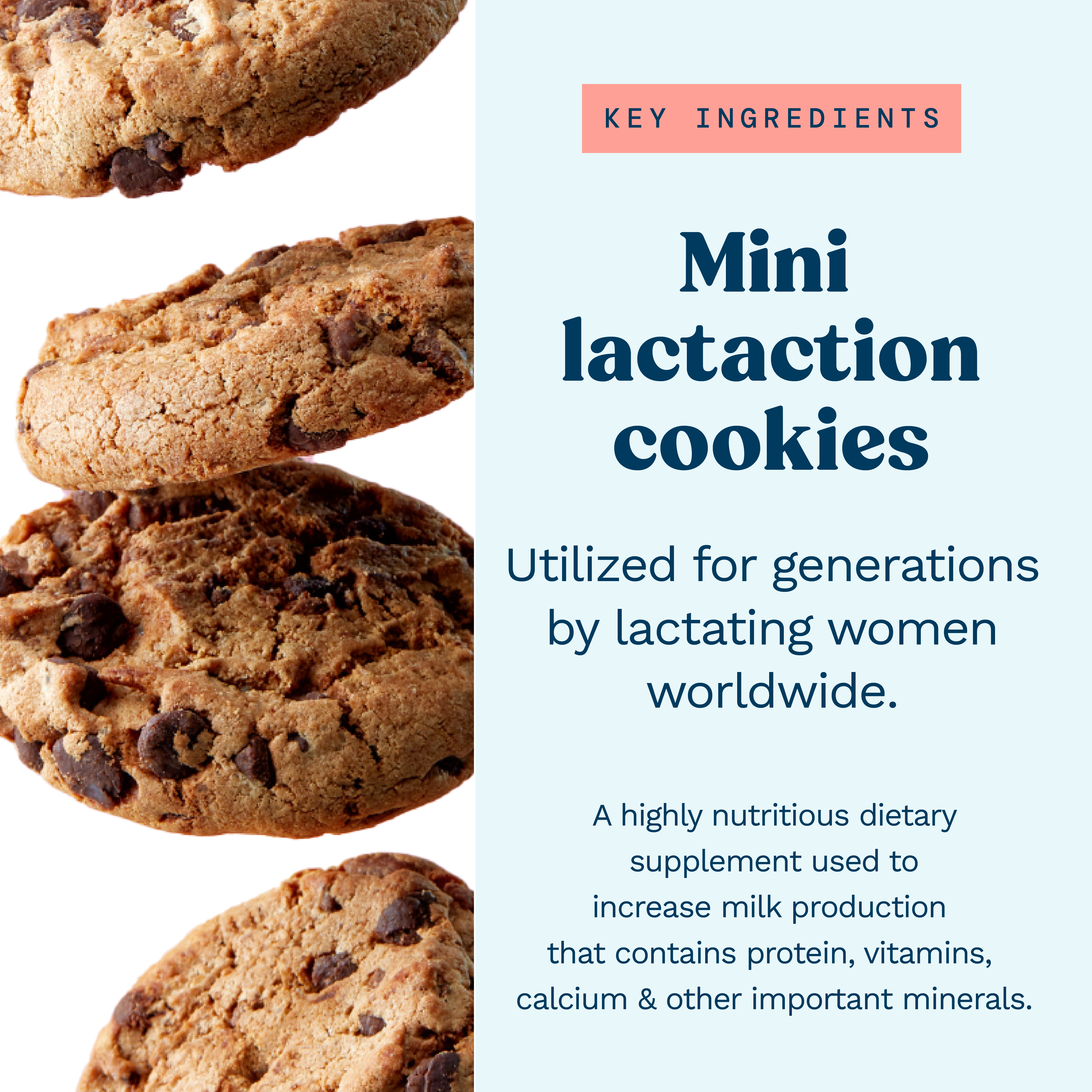 Mini Lactation Cookies - Chocolate Chip