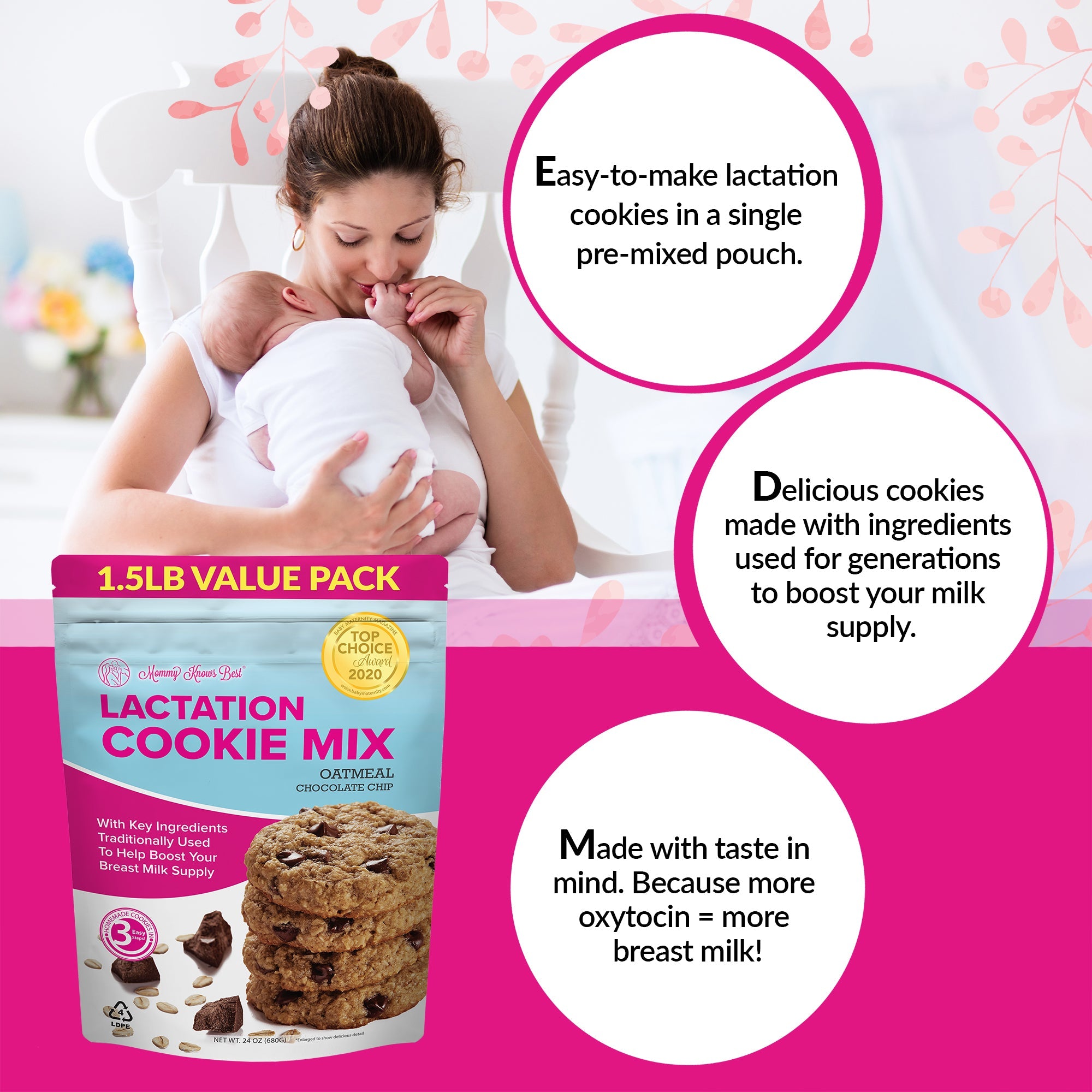 Lactation Cookie Mix - Oatmeal Chocolate Chip - 24oz