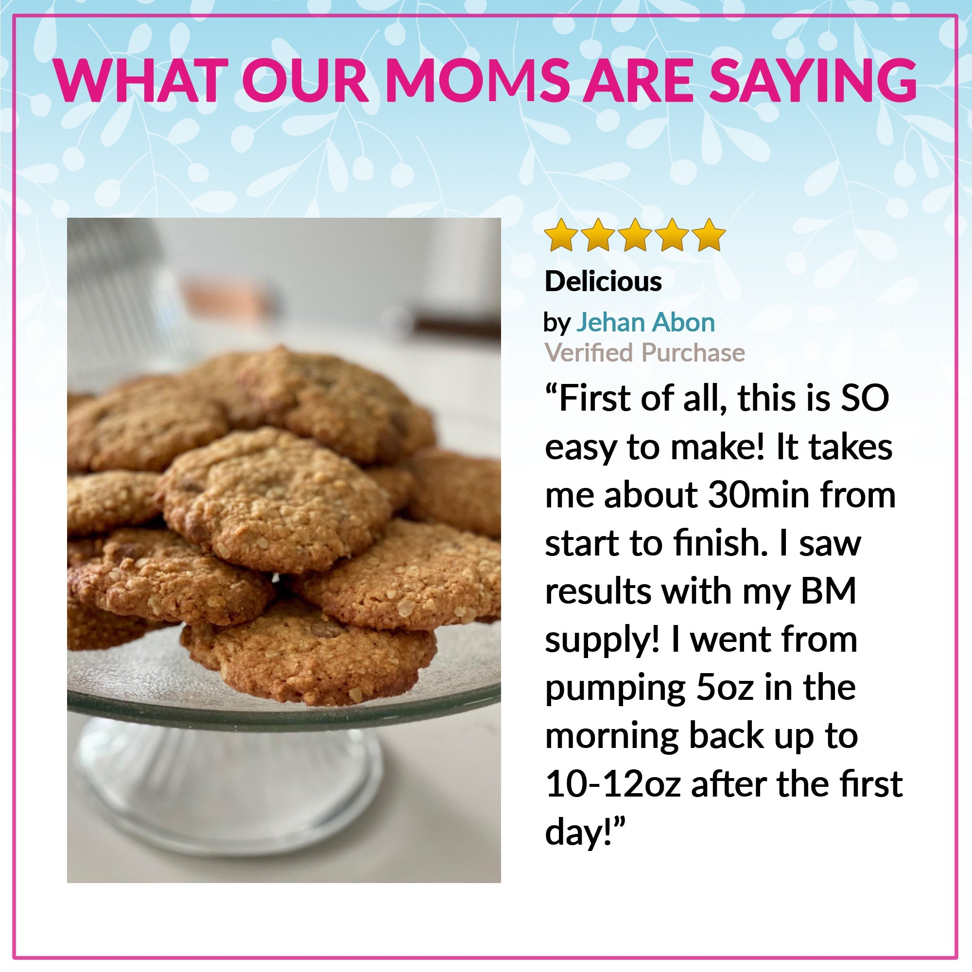Lactation Cookie Mix - Oatmeal Chocolate Chip - 24oz