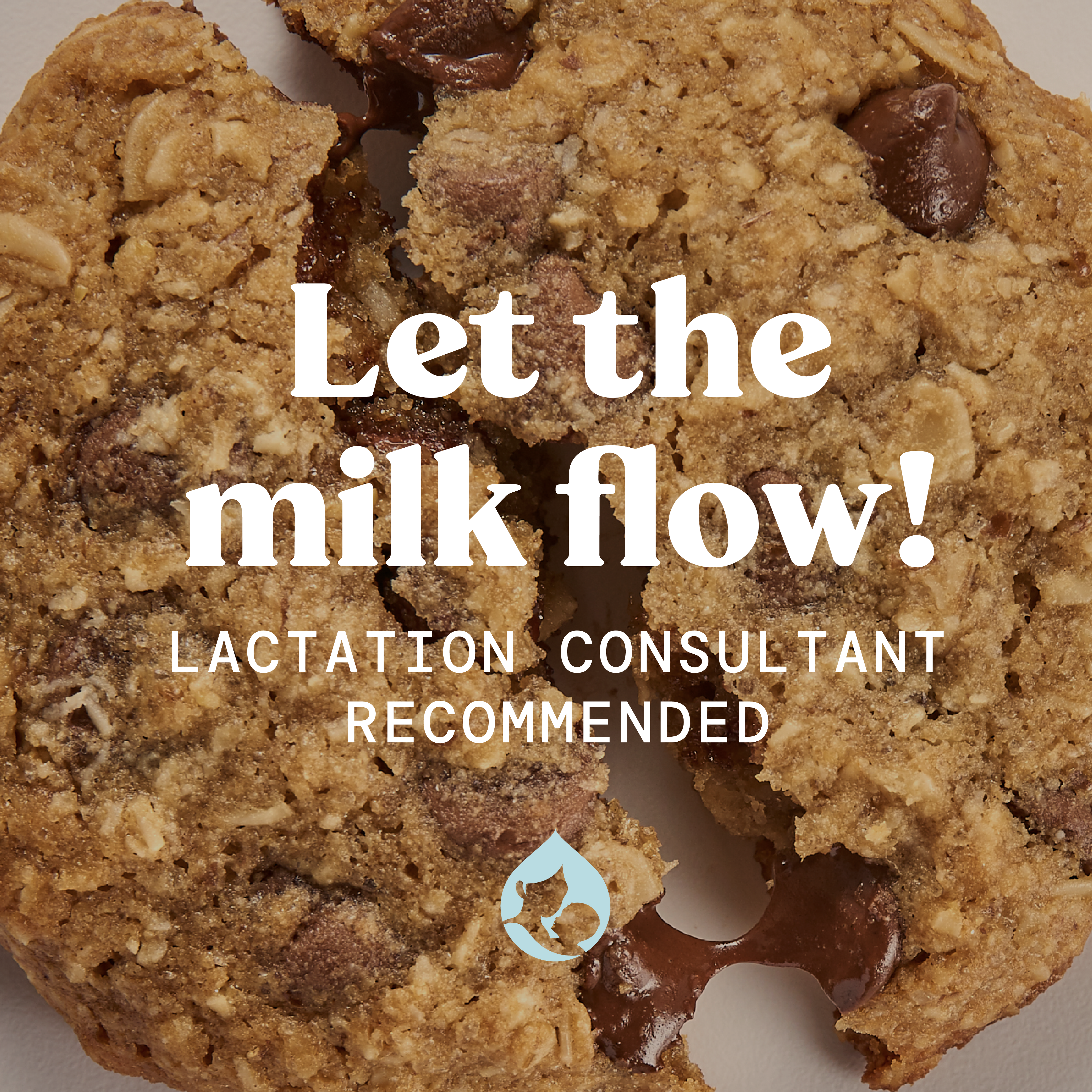 Lactation Cookie Mix - Oatmeal Chocolate Chip - 15oz