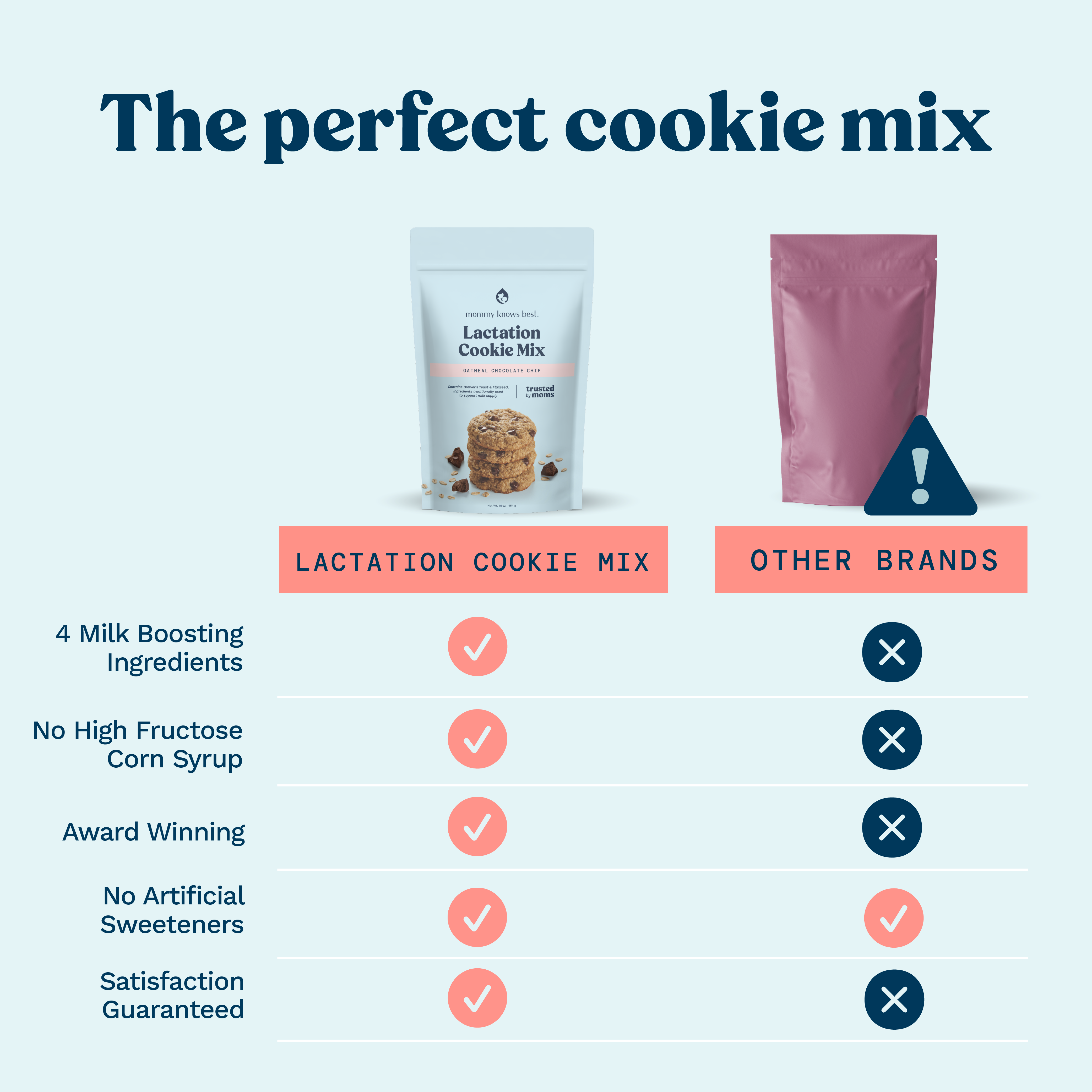 Lactation Cookie Mix - Oatmeal Chocolate Chip - 15oz