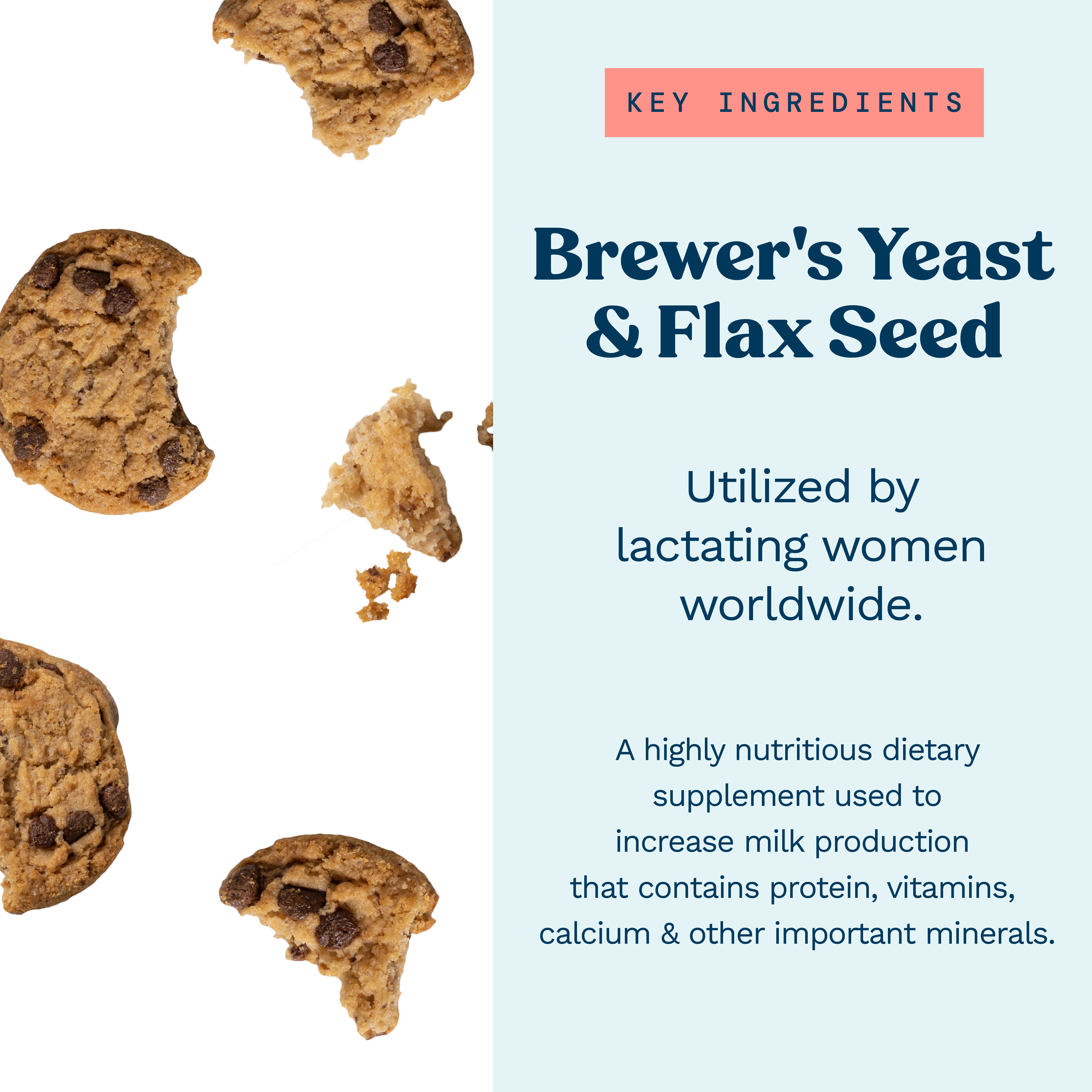 Lactation Cookie Mix - Oatmeal Chocolate Chip - 15oz