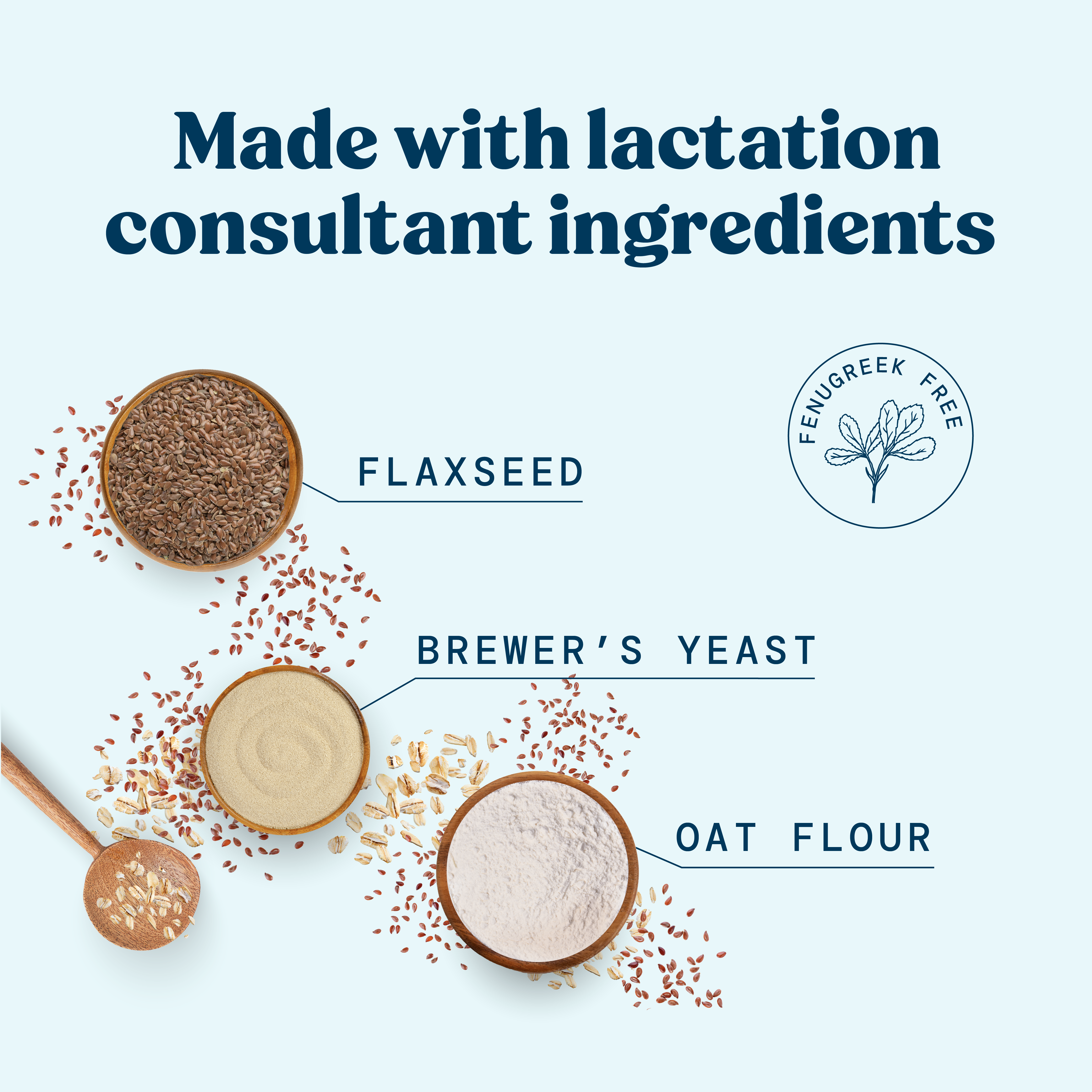 Lactation Cookie Mix - Oatmeal Chocolate Chip - 15oz